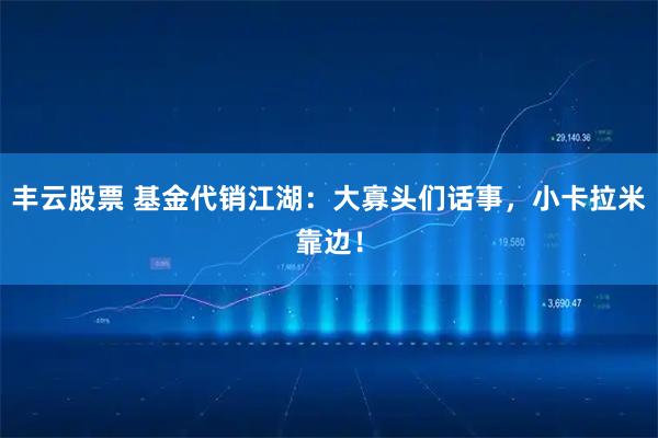 丰云股票 基金代销江湖：大寡头们话事，小卡拉米靠边！