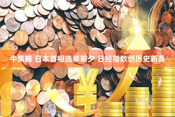 牛策略 日本首相选举前夕 日经指数创历史新高