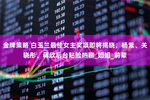 金牌策略 白玉兰最佳女主奖项即将揭晓，杨紫、关晓彤、蒋欣后台贴脸热聊_姐姐_前辈