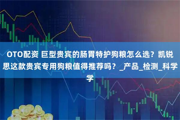 OTO配资 巨型贵宾的肠胃特护狗粮怎么选?凯锐思这款贵宾专用狗粮值得推荐吗?_产品_检测_科学